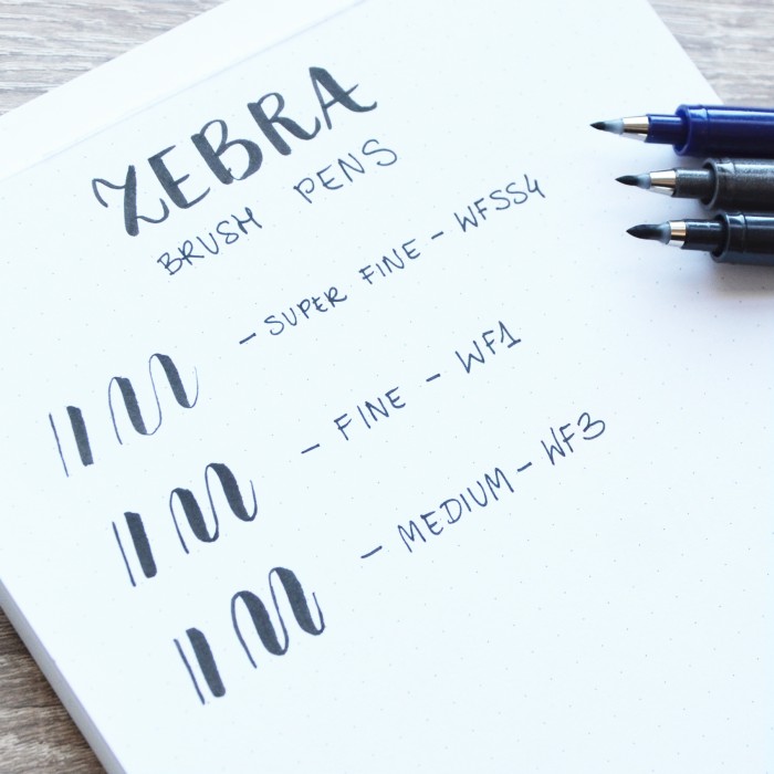 Devangari-art-brush-pen-zebra-fine-medium-01