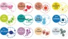 Kuretake ZIG CLEAN COLOR DOT 12 COLOR SET TC-610012V kolory