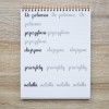 Devangari-art-zeszyt-cwiczen-do-kaligrafii-brush-lettering-21