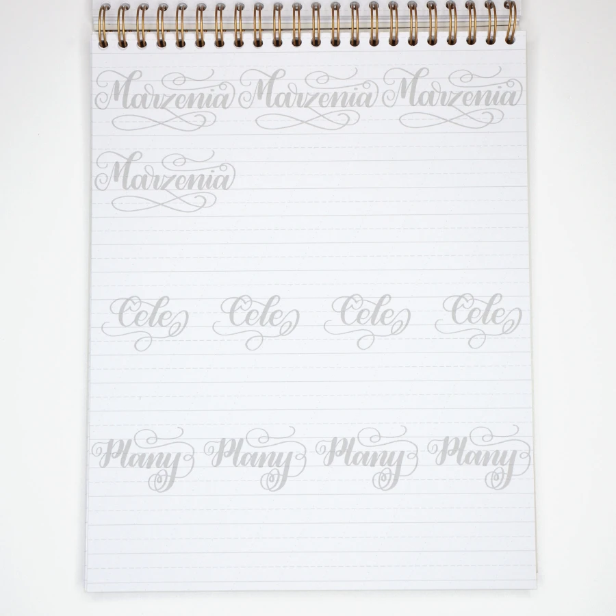Devangari-art-zeszyt-cwiczen-do-kaligrafii-brush-lettering-flourishing-ozdobne-pismo-05