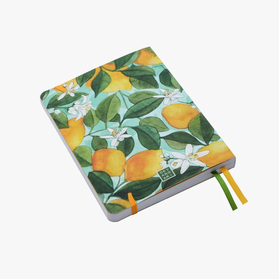 Sotfcover bullet journal B5
