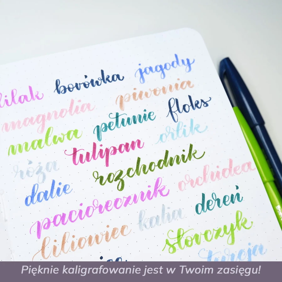 07 kurs BL od podstaw IG.jpg