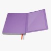 Back pocket for small cards and notes