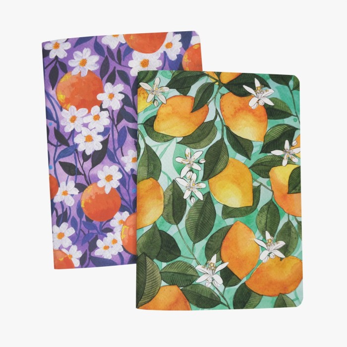 2 dotted notebook set