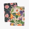 2 dotted notebook set B5