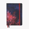 Devangari-art-notes-w-kropki-Fire-in-the-Night-A5-B5-01.jpg